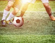 狗年,期揭晓,燕归空,中国体彩网,体育彩票,中国体育彩票,中国体彩,足彩网