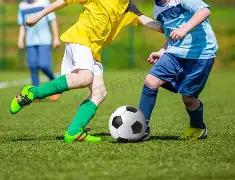 童言妙语,双色球,期独家推荐,中国体彩网,体育彩票,中国体育彩票,中国体彩,足彩网