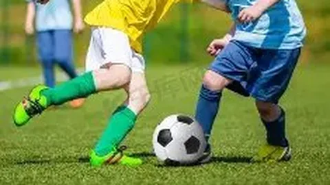 中国体彩网 资讯 112525 s2o