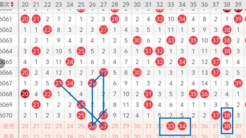 大乐透26061期专家推荐：上期银胆质合分析