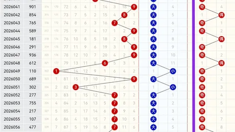 林森2026105期福彩3D专家质合推荐前区十码